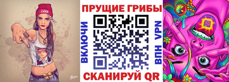 Псилоцибиновые грибы мицелий  Жигулёвск 